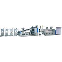 Multilayer Co-Extrusion Sheet Machine